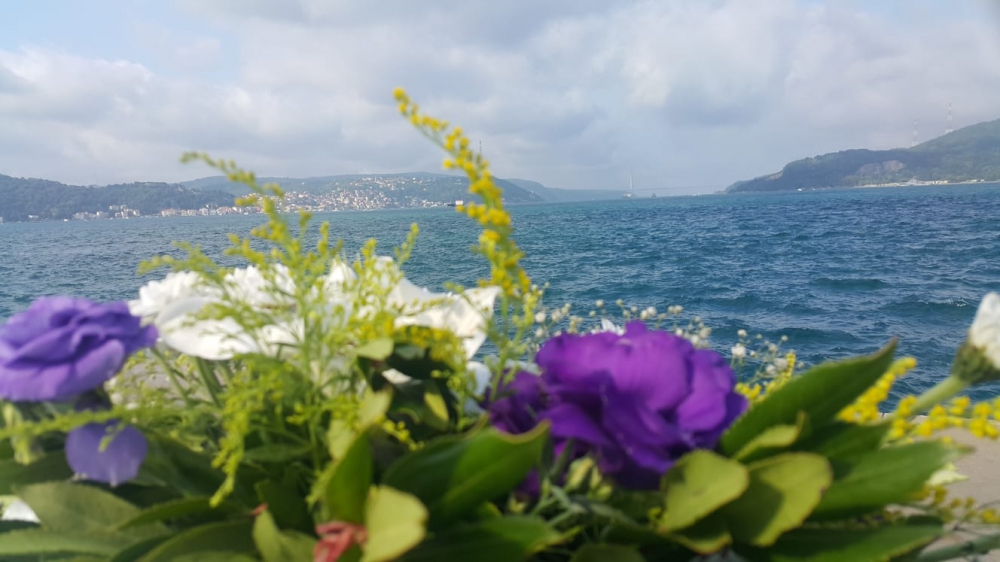 GÜL TURİZM